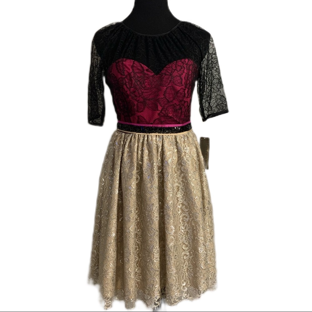 Corey Lynn Calter SZ 10 Lace Covered Bustier Skater Skirt Belted Dress NWT